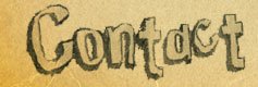 Wienery Contact